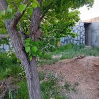 ۱۴۰۰متر باغ|فروش خانه و ویلا|مشهد, شهید هنرور|دیوار