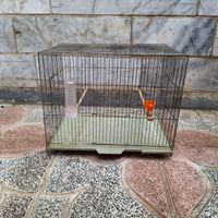 قفس پرنده نو|لوازم جانبی مربوط به حیوانات|کرج, آزادگان|دیوار