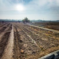 زمین ۱۰۰۰ متری قابل معاوضه و شرایط|فروش زمین و کلنگی|تهران, شادآباد|دیوار