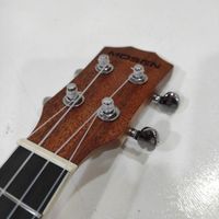 یوکوللی Ukulele Mosen muc800 پیکاپدار|گیتار، بیس، امپلیفایر|تهران, نارمک|دیوار