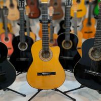گیتار سایز  استاندارد|گیتار، بیس و امپلیفایر|مشهد, ابوطالب|دیوار