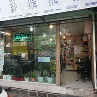مالیات  کافی نت  طراحی  تعمیرات تخصصی|خدمات رایانه‌ای و موبایل|تهران, سلسبیل|دیوار