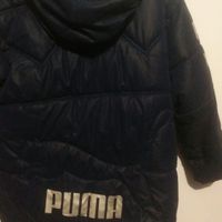 کاپشن اصل  puma|لباس|تبریز, |دیوار