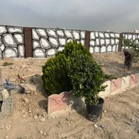 باغ و باغچه نقلی|فروش زمین و کلنگی|تهران, امیریه|دیوار