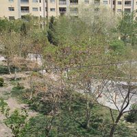 رهن  و اجاره اپارتمان ۱۲۰ باغ زیار|اجارهٔ آپارتمان|اصفهان, فرهنگ|دیوار