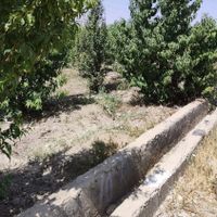 باغچه ابراهیم بیگی|فروش زمین و کلنگی|نظرآباد, |دیوار