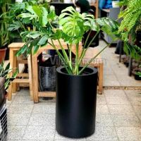 خدمات.باغبانی باغچه کاری گلکاری درختکاری خاک گلدان|خدمات باغبانی و درختکاری|تهران, سهروردی|دیوار