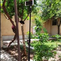 سلام سه پایه  مخصوص گوشی دوربین و ریگ لایت|دوربین عکاسی و فیلم‌برداری|تهران, خانی‌آباد نو|دیوار