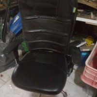 صندلی مدیریت|صندلی و نیمکت|پرند, |دیوار