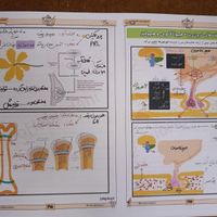 کتاب زیست عمارلو عظیمی همدانی کلاسینو تاملند جزوه|کتاب و مجله آموزشی|تهران, آسمان|دیوار