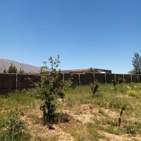 1400 متر باغ سر دونبش درفارس مبین پروژه|فروش زمین و کلنگی|شیراز, گود عربان|دیوار