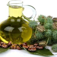 روغن کرچک|عمده‌فروشی|تهران, آهنگ|دیوار