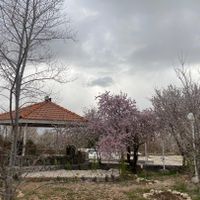 فروش باغ  سیخ دارنگون  فاز یک|فروش خانه و ویلا|شیراز, حسین‌آباد|دیوار