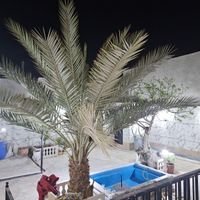 ۲۵۰ متر ویلایی رکن الدوله شرقی|فروش خانه و ویلا|اصفهان, رکن‌الدوله|دیوار
