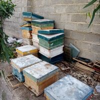 کندو طبق و لوازم زنبور داری|ابزارآلات|اصفهان, بیست و چهار متری|دیوار