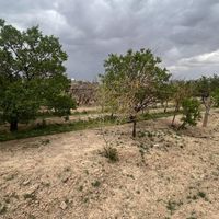 باغ سرسبز ۱۲۰۰ متر|فروش زمین و کلنگی|اصفهان, خانه اصفهان|دیوار