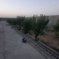 باغ ۱۵۰۰ متر سند تک‌برگ چهار دیواری|فروش زمین و کلنگی|تهران, شهرک شریفی|دیوار