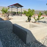 باغ انگور قدیمی 240 متر با سهمیه آب|فروش زمین و کلنگی|تهران, عبدل‌آباد|دیوار