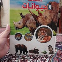 کتاب جدیده تازه خریدم گذاشتم کمد|کتاب و مجله آموزشی|تهران, تاکسیرانی|دیوار