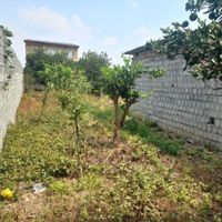 زمین با کاربری تجاری و مسکونی در روستای خراطکلا|فروش زمین و کلنگی|کیاکلا, |دیوار