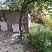 باغ گردو|فروش زمین و کلنگی|نظرآباد, |دیوار
