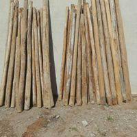 خرید .چوب خشک چوب سقف. صنوبر .تخریب از خودمون|خدمات باغبانی و درختکاری|اردبیل, |دیوار
