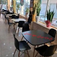 میز و صندلی  غذاخوری  کافه  پلاستیکی  چوبی|میز و صندلی غذاخوری|تهران, صادقیه|دیوار