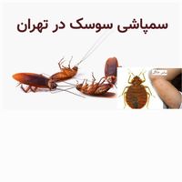 سمپاشی ساس سوسک در یک مرحله با ضمانت کتبی سم پاشی|خدمات نظافت|تهران, افسریه|دیوار