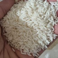 برنج علی کاظمی عطر و طعم برنج|خوردنی و آشامیدنی|تهران, خاک سفید|دیوار