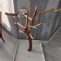 درخت طوطی|لوازم جانبی مربوط به حیوانات|تهران, شهرک راه‌آهن|دیوار