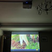 دیتا شو استوک ویدئو پروژکتور دسته دوم اروپایی|تلویزیون و پروژکتور|اصفهان, چرخاب|دیوار