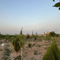 باغچه به متراژ 500 متر|فروش زمین و کلنگی|تهران, ظهیرآباد|دیوار