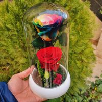 باکس شیشه دیو و دلبر گل رز جاودان روز دختر کد ۸۴|گل و گیاه طبیعی|تهران, میدان ولیعصر|دیوار