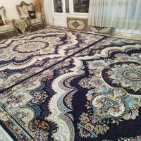 فرش ۱۲ متری دستباف گونه ۷۰۰ شانه|فرش|کرمانشاه, |دیوار