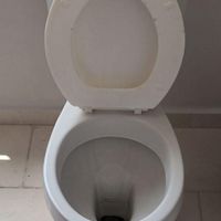 توالت فرنگی|لوازم سرویس بهداشتی|پرند, |دیوار