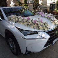 گل آرایی و تزیین ماشین عروس،جایگاه.درمحل شما|خدمات پذیرایی، مراسم|تهران, تهرانپارس غربی|دیوار