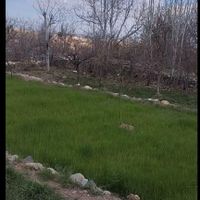 زمین باغی ۷۵۵ متر مربع * نطنز|فروش زمین و کلنگی|تهران, حمزه‌آباد|دیوار