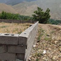 زمین واقع در جاده چالوس ارنگه، ابهرک|فروش زمین و کلنگی|کرج, محمود آباد|دیوار