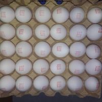پخش تخم مرغ جعبه ای برای سوپر مارکت ها و شیرینی|خوردنی و آشامیدنی|تهران, گمرک|دیوار