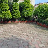 سوییت ساحلی یک خوابه دربست|اجارهٔ کوتاه‌مدت آپارتمان و سوئیت|سلمان‌شهر, |دیوار