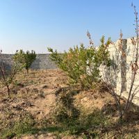 باغ وباغچه/۱۷۱متری/موقعیت عالی/برق سرسبز|فروش زمین و ملک کلنگی|تهران, باغ خزانه|دیوار