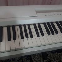 پیانو دیجیتال یاماها yamaha p 255|پیانو، کیبورد، آکاردئون|تهران, جمهوری|دیوار