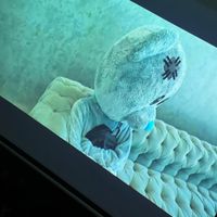 ویدئو پرژکتور اروپا دیتاپرژکتور پرده نمایش دیتاشو‌|تلویزیون و پروژکتور|اصفهان, چرخاب|دیوار