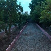 باغچه ۱۰۰۰مترچهاردیواری|فروش زمین و کلنگی|تهران, شهرک طالقانی|دیوار
