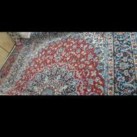 فرش12|فرش|اهواز, کوی رمضان|دیوار