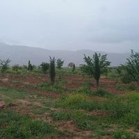 زمین باغ شهری|فروش زمین و کلنگی|شیراز, آرامستان دارالرحمه|دیوار