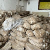گل سفالگری ‌لالجین|گل و گیاه طبیعی|تهران, مسعودیه|دیوار