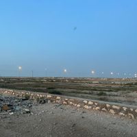 زمین کشاورزی گورک|فروش زمین و کلنگی|بوشهر, |دیوار