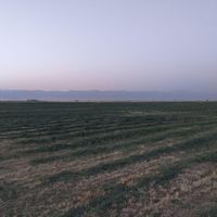 زمین کشاورزی ۳۶۰۰۰ متری نظرآباد|فروش دفاتر صنعتی، کشاورزی و تجاری|تنکمان, |دیوار
