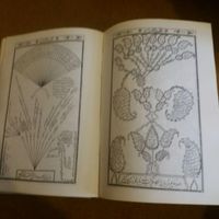 قران مجید با ترجمه زیبا(قدیمی)|کتاب و مجله مذهبی|تهران, بریانک|دیوار
